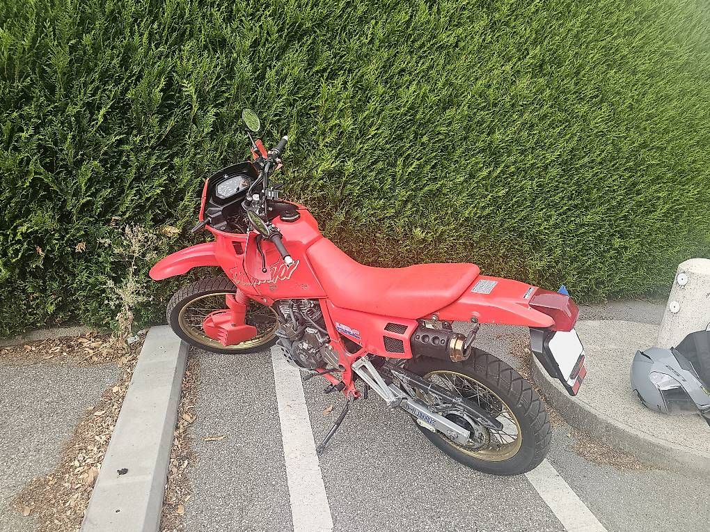 Enduro: Honda NX650 Dominator – Gebraucht aus Cologny von Fazz42 1