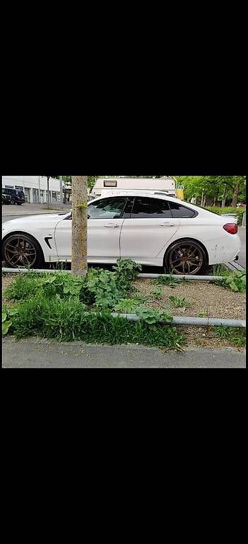 Cerchioni: Z-Performance Felgen inkl. Eignungserklärung – Usato da Dietikon venduto da rem_xqc9 1