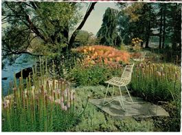 Zürich Gartenausstellung 59 - Rechtes Ufer Uferweg Stauden