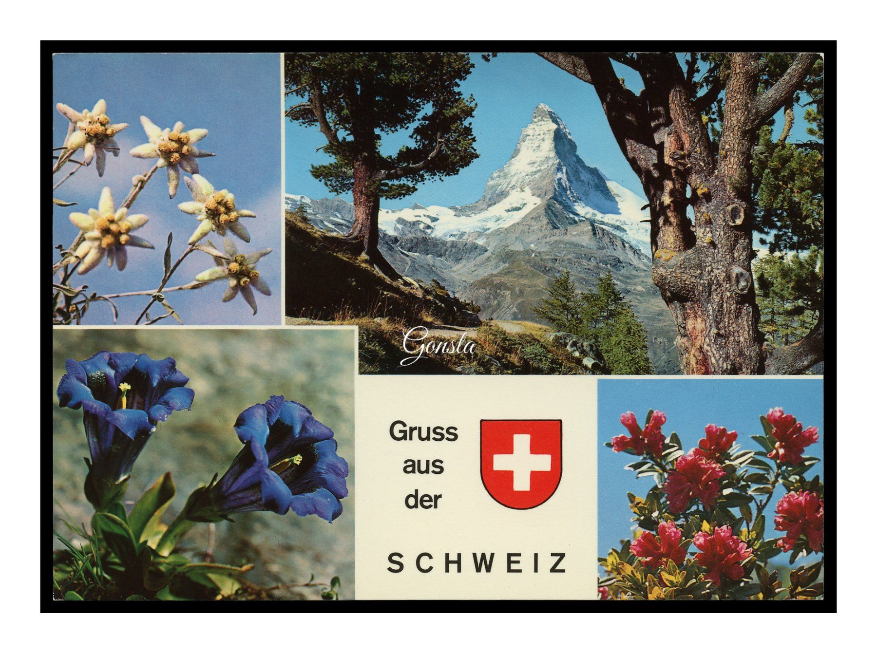 Cartoline postali: GRUSS AUS DER SCHWEIZ - 1970 "Multi-Vues" – Usato da Onex venduto da Lagorel01