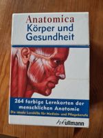 Lernkarten Karteikarten Anatomie Gesundheit Pflege Medizin