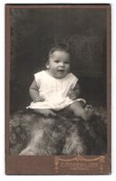 Fotografie E. Roggwiller, Wattwil, Portr