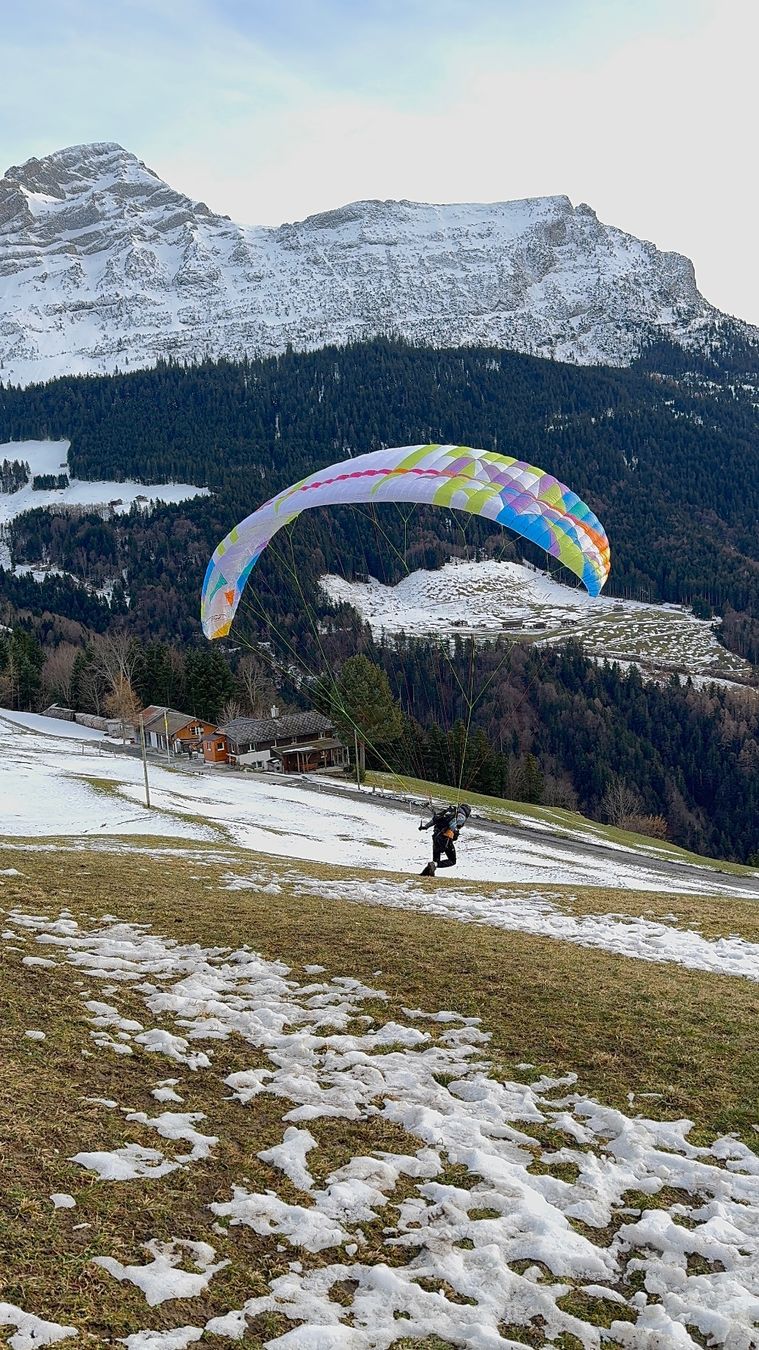 Sport dell'aria & Aquiloni: BGD Echo 2 XS Pine – Usato da Altdorf UR venduto da lau_zdq5