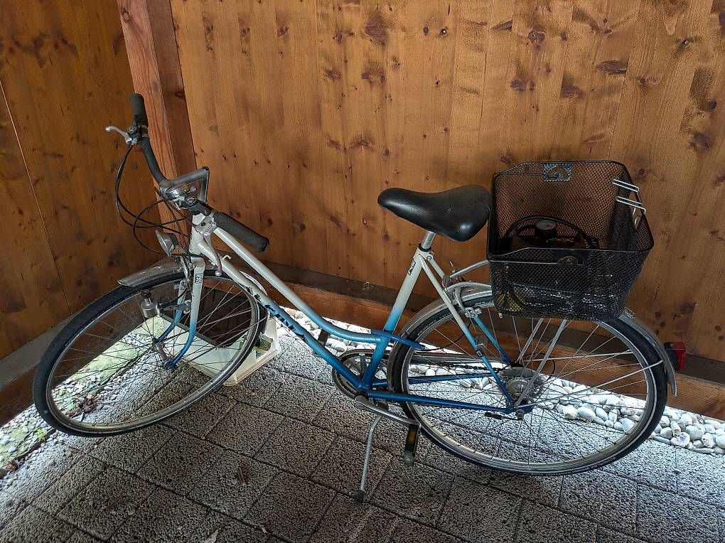 Alpina Biciclette: Fahrrad Alpina – Usato da Wetzikon ZH venduto da sel_5kny