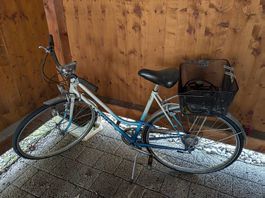 Fahrrad Alpina