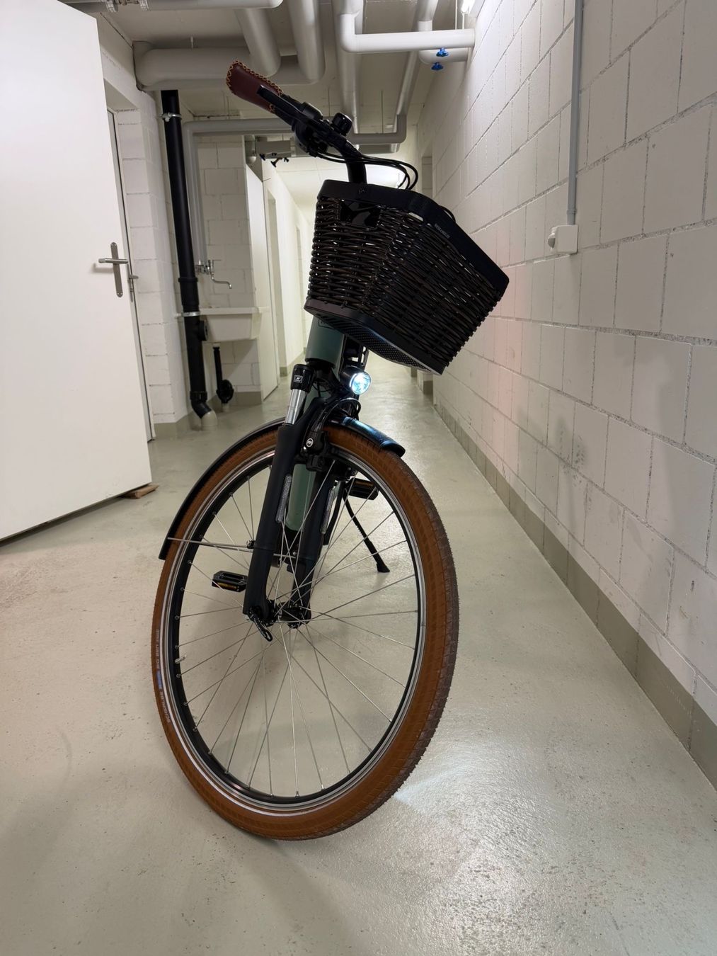 Riese & Müller Velos: E-Bike Riese & Müller Swing4 vario – Gebraucht aus Anglikon von SidonieR 2