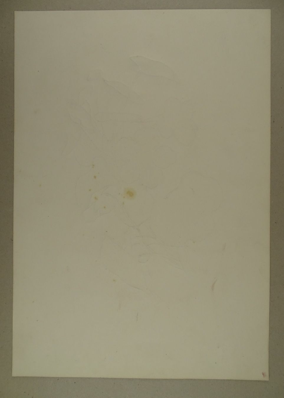 Stiche: FLEUR, BLUME, LITHOGRAPHIE UM 1850 – Gebraucht aus Grüningen von Kartensammler 6