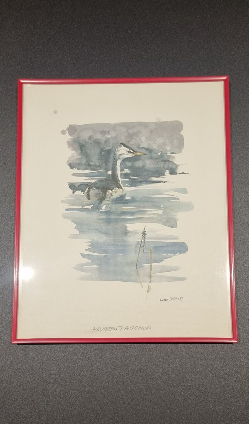 Poster & Bilder: Bild Haubentaucher in Rahmen – Neu (gemäss Beschreibung) aus Lachen SZ von LinDiscount 1