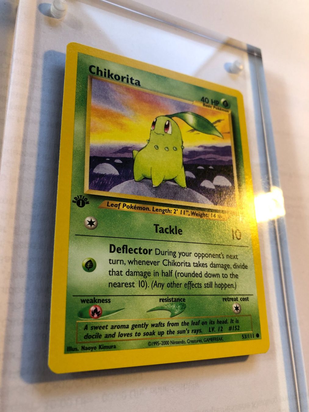 Sammelbilder & Trading cards: Chikorita 1st Neo Genesis - MINT - ab 1.- – Gebraucht aus Giubiasco von dan_pr8b 1