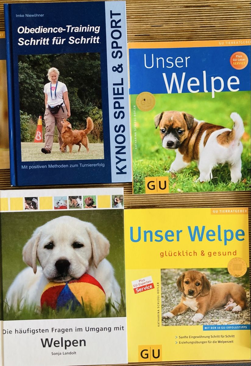 Bücher: Hundeerziehung – Gebraucht aus Läufelfingen von petit-nicola