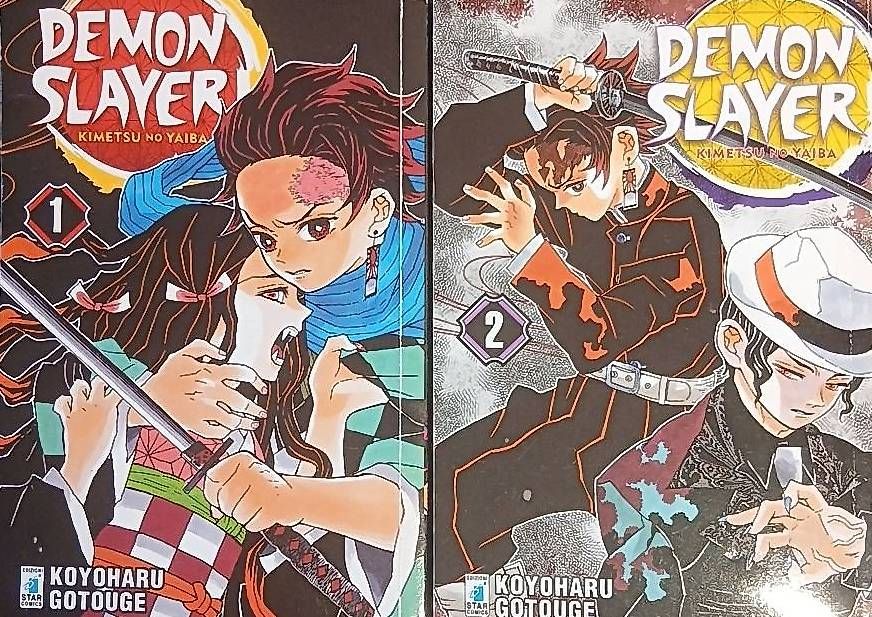 Comics: Demon Slayer Manga Volume 1-6 – Gebraucht aus Riva San Vitale von tobias.hub07