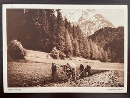 LANDWIRTSCHAFT Bauernfleiss, Bauernfamilie, Kuh v. dem Pflug