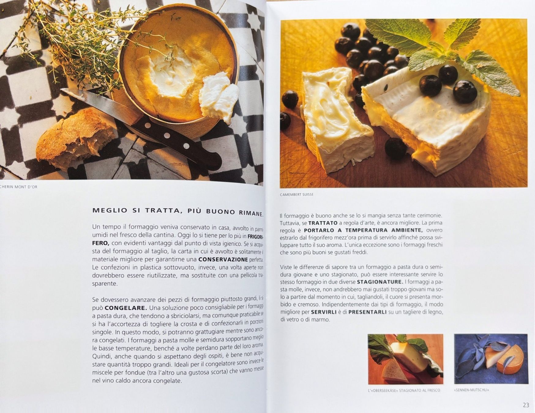 Libri: Il Libro del Formaggio – Nuovo (secondo la descrizione) da Sarnen venduto da Livres 5