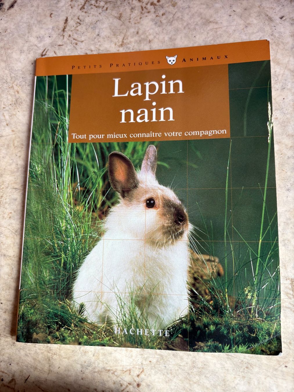 Libri: Livre lapin nain – Usato da Grône venduto da natatou