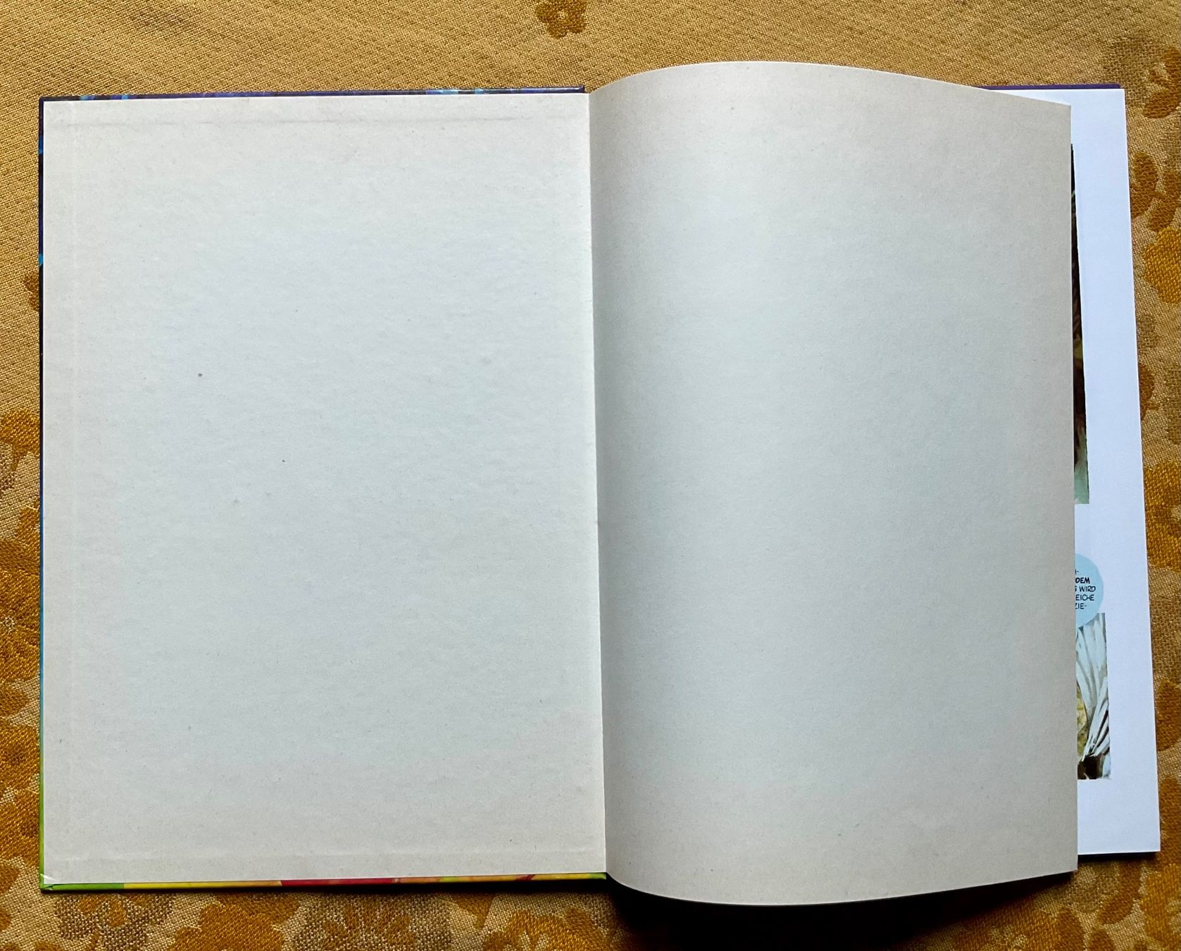 Comics: Comic - Album von 1987 ? – Gebraucht aus Endingen von nathan05 2