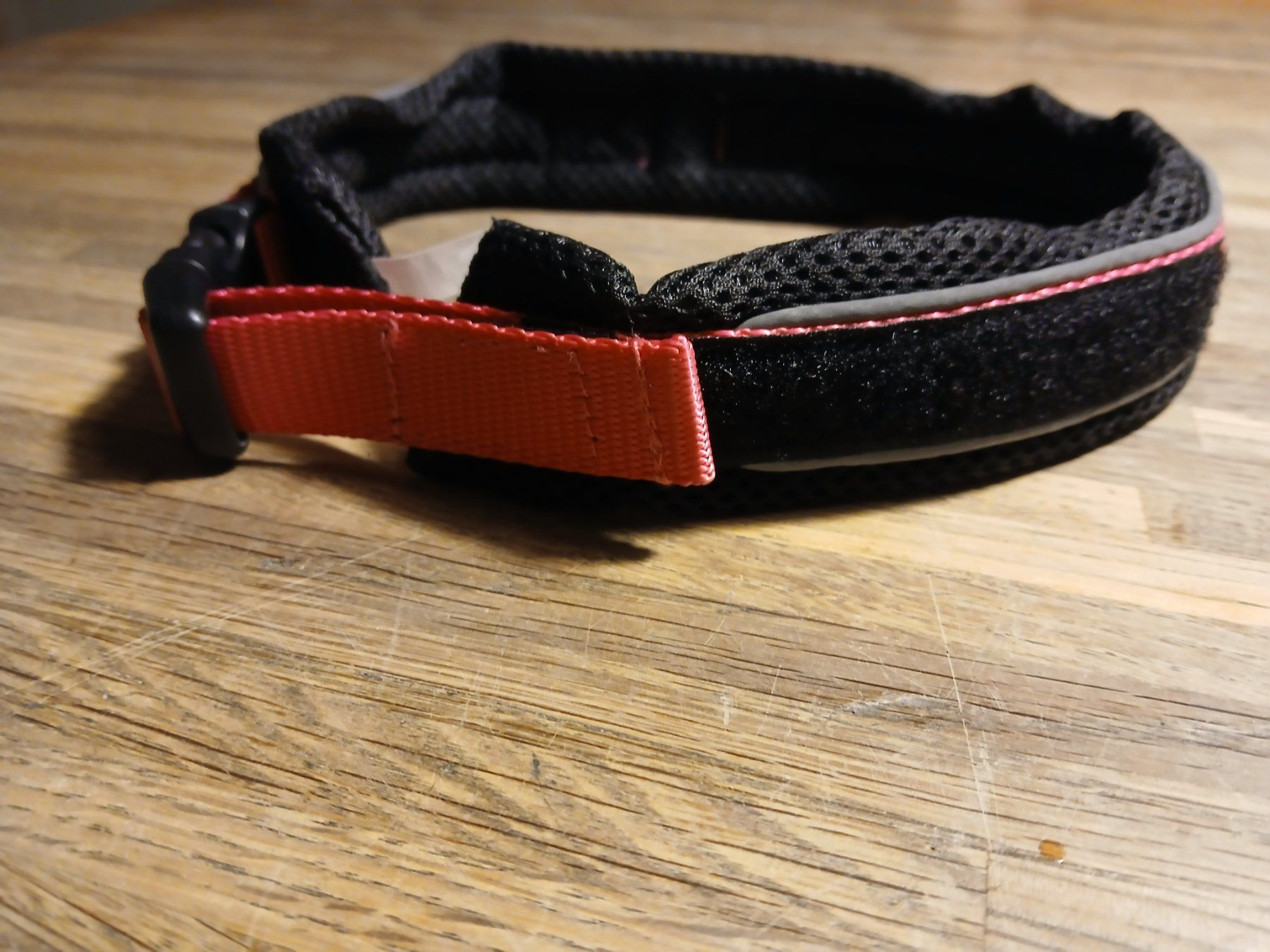 Guinzagli & Collari: Halsband – Usato da Oberramsern venduto da lal_7v57 1
