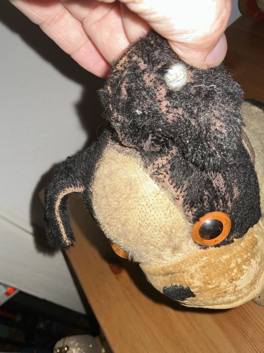 Steiff Spielzeuge: Steiff Bully  – Gebraucht aus Basel von Ajscha7o1 6