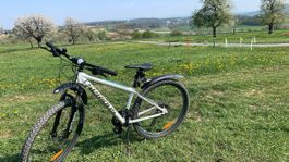 Serious Velo Weiss Damenrad Gebraucht
