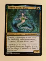 1 x Tatyova, Benthic Druid - Magic: The Gathering - MtG