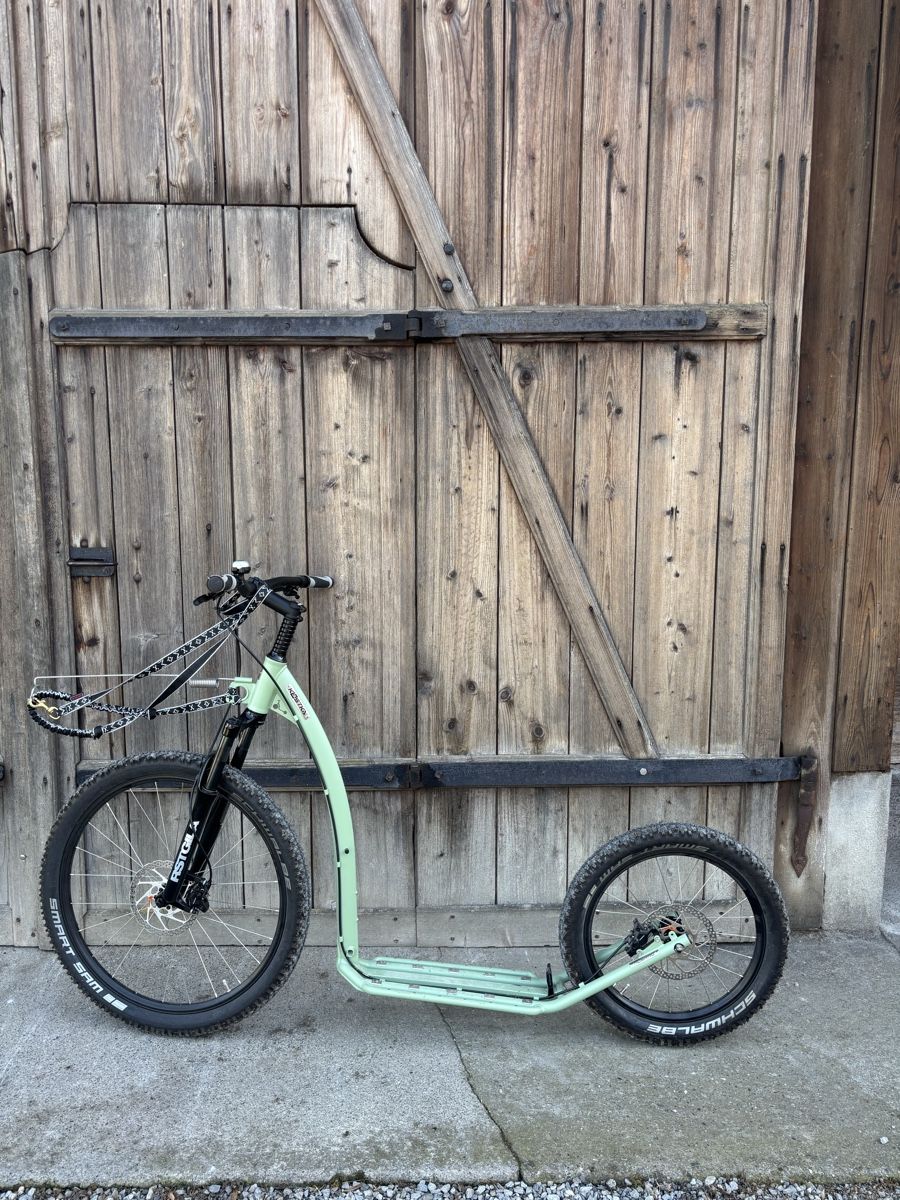 Kickboard: Mushing Max Scooter – Neuf (Voir description) à Oberglatt ZH par Bensch_8154