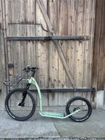 Mushing Max Scooter
