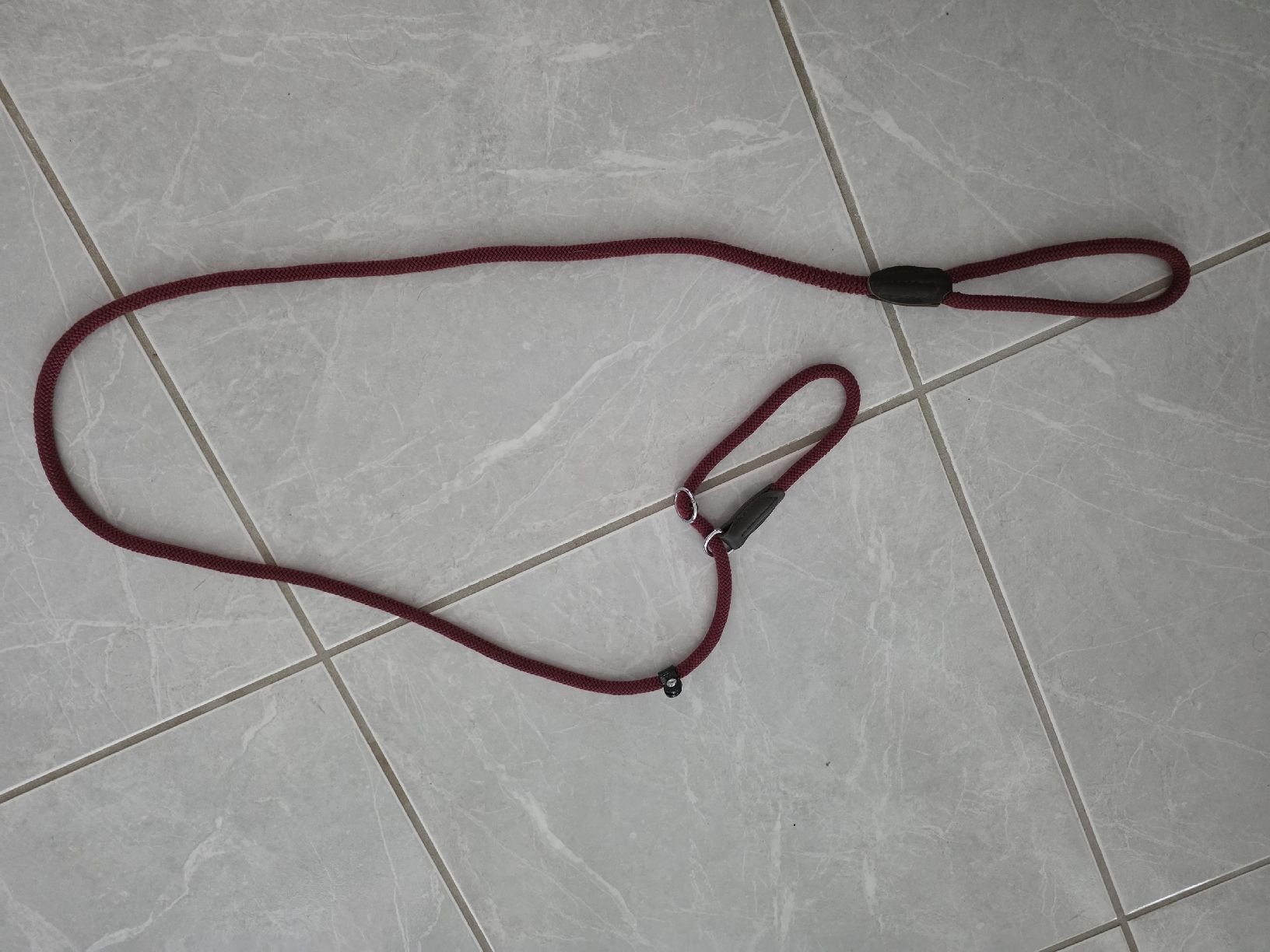 Guinzagli & Collari: Dog Leash Slip Lead Red Rope Adjustable Used Condition – Usato da Thalwil venduto da Derekdez