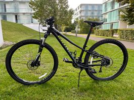 Specialized Fahrrad