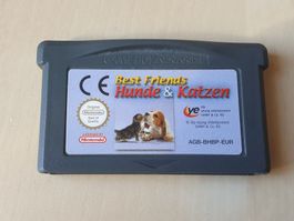 Best Friends Hunde & Katzen