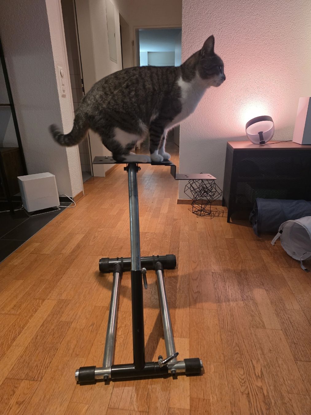 Sonstige Dekorationen & Accessoires: Lenkrad/Wheel Stand Sim Racing – Gebraucht aus Bassersdorf von elvenditor 2