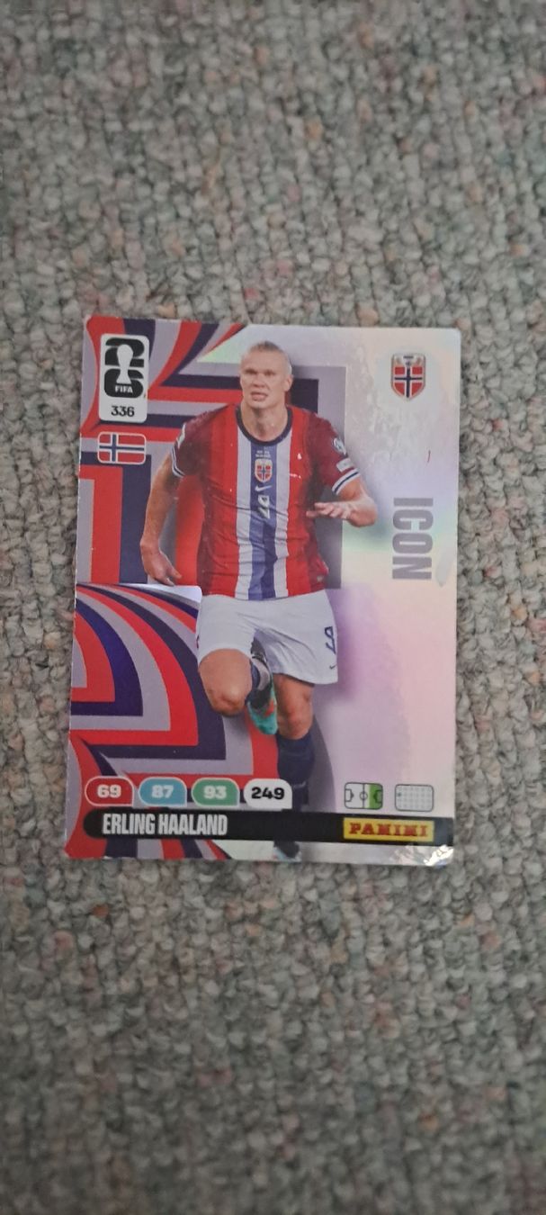 Karten: fifa wm panini karten  2026 – Gebraucht aus Bubendorf von SchenMi