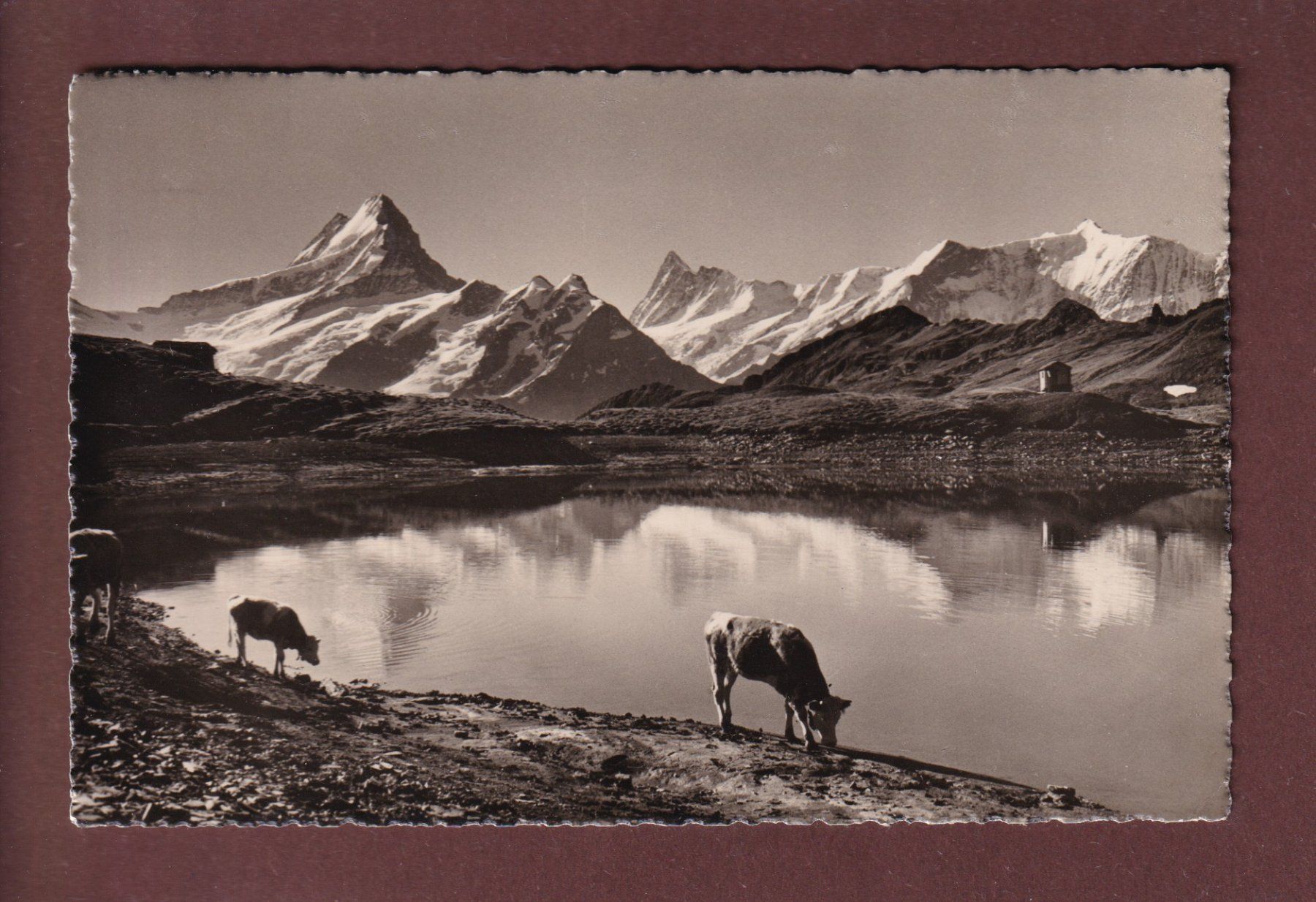 Cartoline postali: Am BACHALPSEE bei Grindelwald - 1939 – Usato da Pully venduto da nicecards