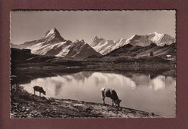 Am BACHALPSEE bei Grindelwald - 1939
