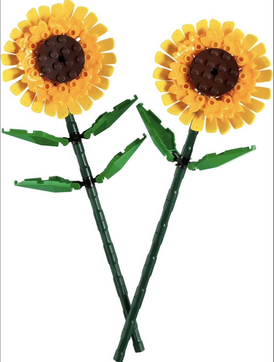 Lego Kit di costruzioni: Lego Sonnenblumen – Usato da Remigen venduto da Celeva