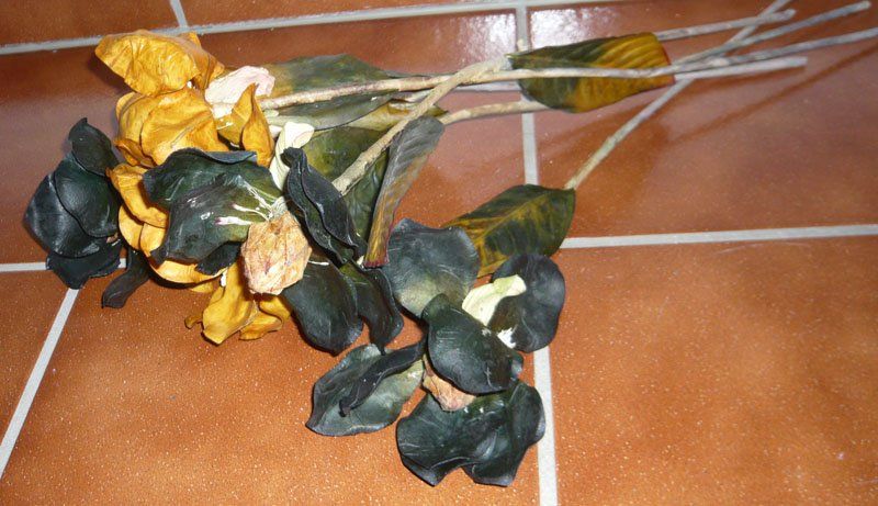 Piante & sementi: künstliche Blumen – Usato da Ruggell venduto da Dolce9
