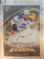 Sportzoo - Stars of the Season - David Sklenicka - 17/30
