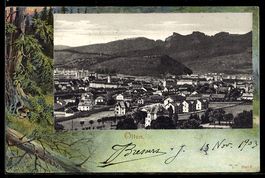AK Olten, Ortsansicht, Waldstück im Passepartout