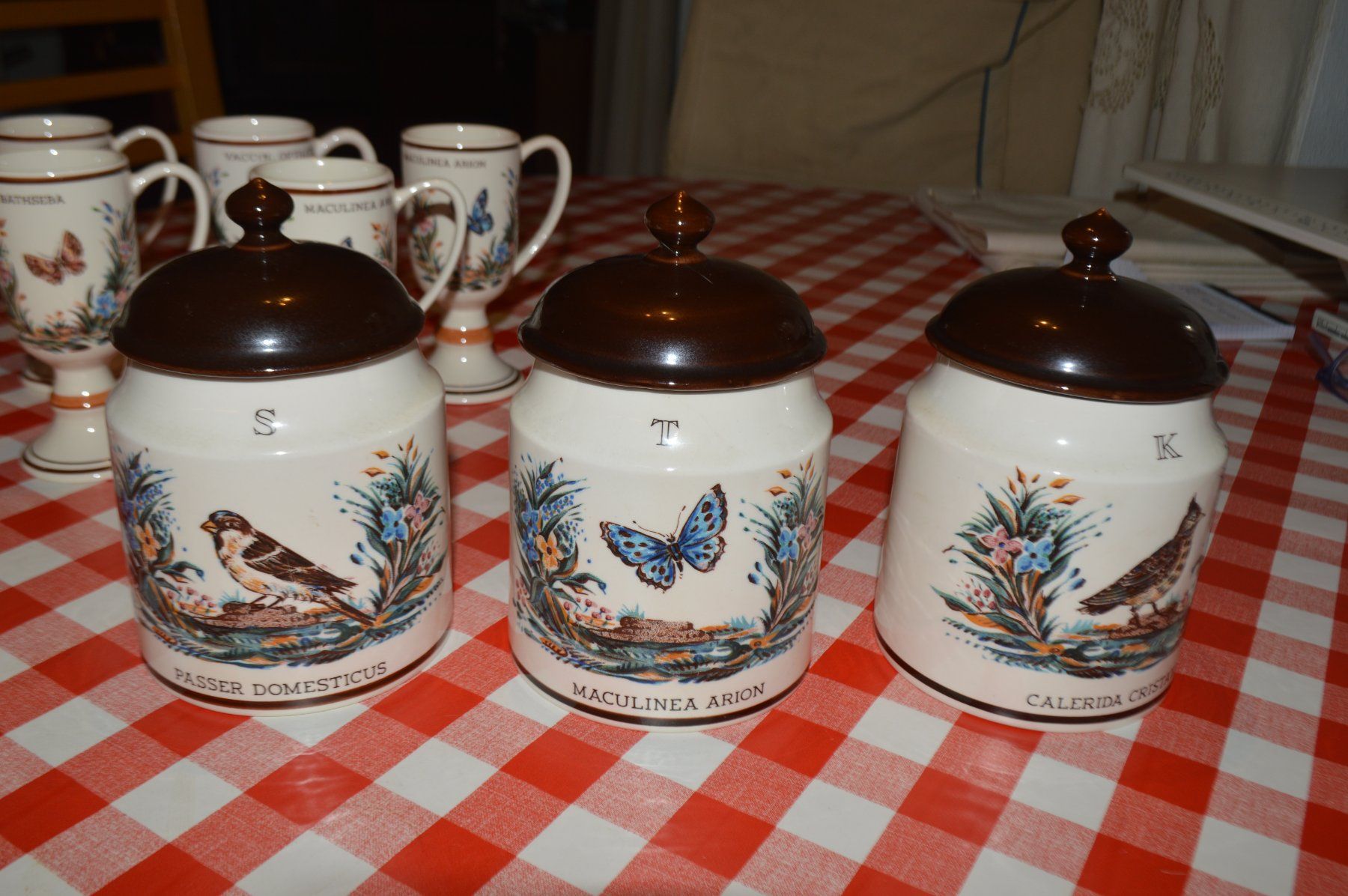 Set di piatti: servizio da caffè e/o te – Nuovo (secondo la descrizione) da Brione s. Minusio venduto da clk_8kjj 5