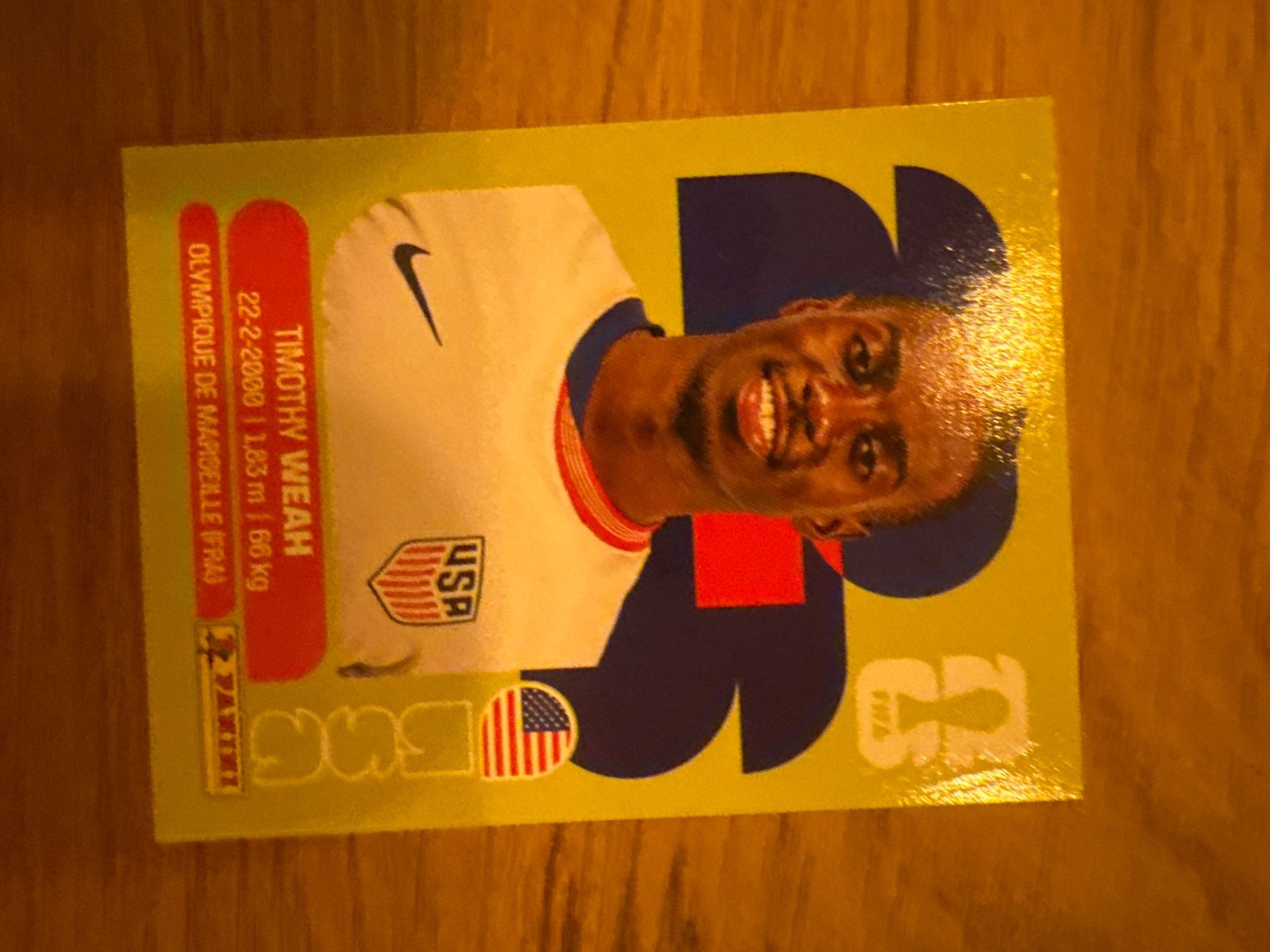 Panini Sammelbilder & Trading cards: Panini – Gebraucht aus Langnau i. E. von Acrjl