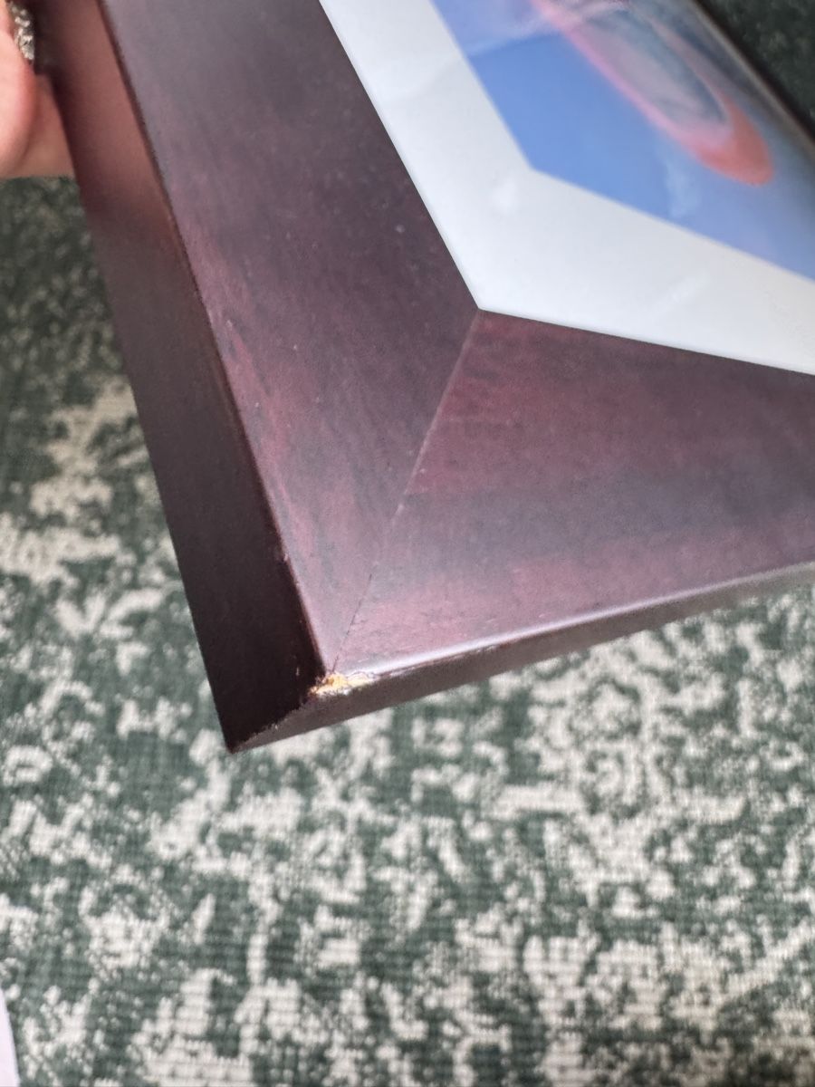 Dipinti: Andy Warhol Dachshund Print Framed Pre-owned Condition – Usato da Cham venduto da chrispluess 3