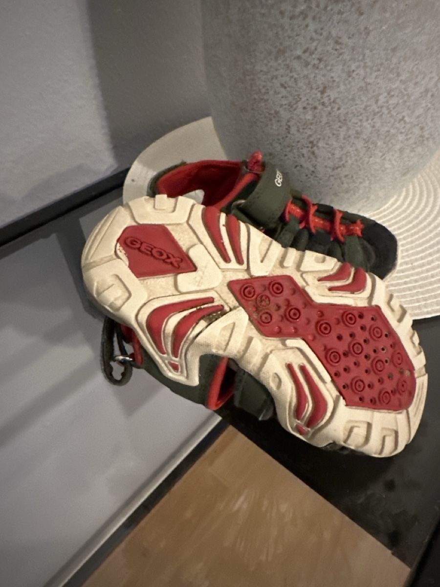 Geox Scarpe per ragazzi: Geox Jungen Schuhe, Grösse 24 – Usato da Basel venduto da sve_2kxk 2