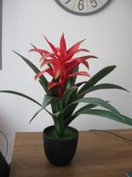Schöne künstliche Pflanze Bromelie/Guzmania