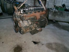 Toyota Stapler  6 Zylinder  Diesel Motor