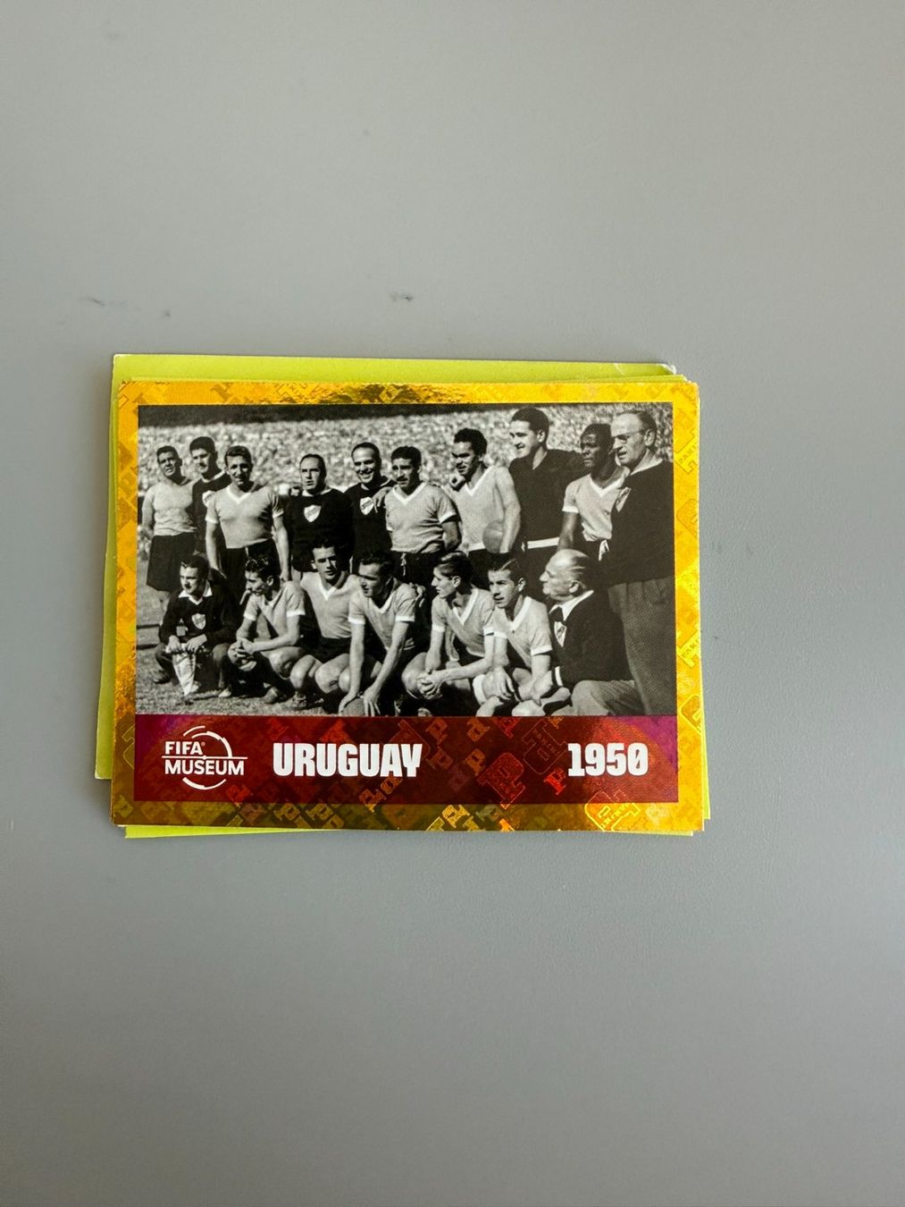 Panini Sammelbilder & Trading cards: Panini FWC10 – Gebraucht aus Liebefeld von Ronaldo-1996