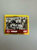 Panini FWC10