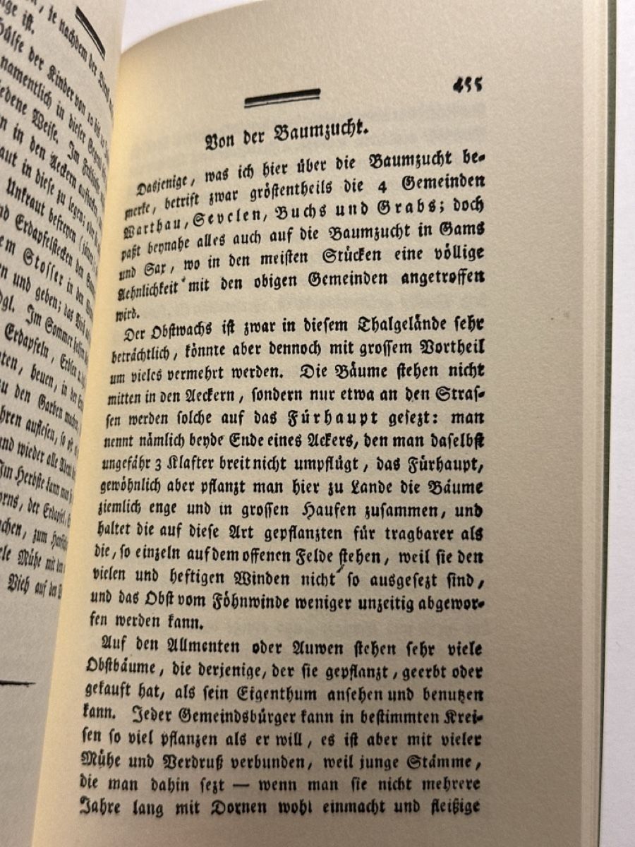 Libri: Werdenberg um 1800 – Usato da Berschis venduto da Vild1 4