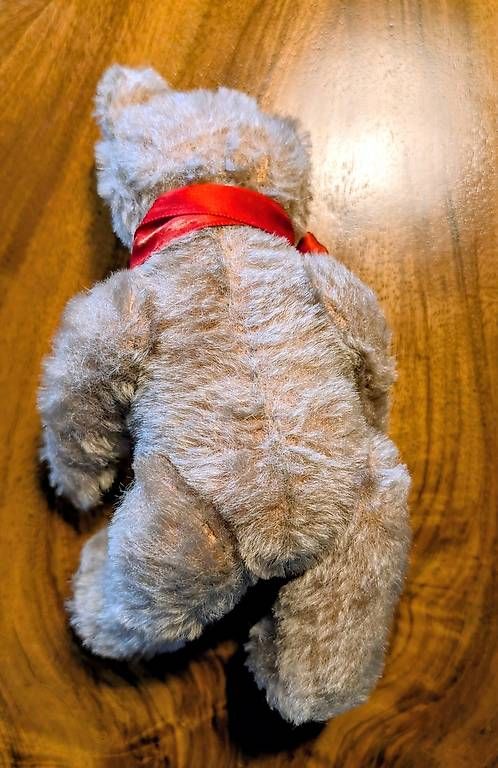 Jouets: Steiff Teddy – D'occasion à Subingen par Rusti79 1