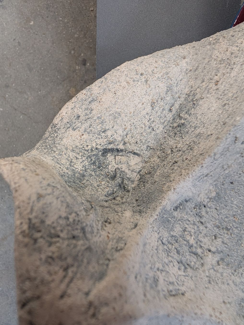 Foto & Immagini: Ruth Rüegg Bild Sonderaktion!!! – Usato da Schönenberg TG venduto da Ruppenthaler 1