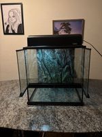 Exo Terra Terrarium mit Beleuchtung und Rückwand