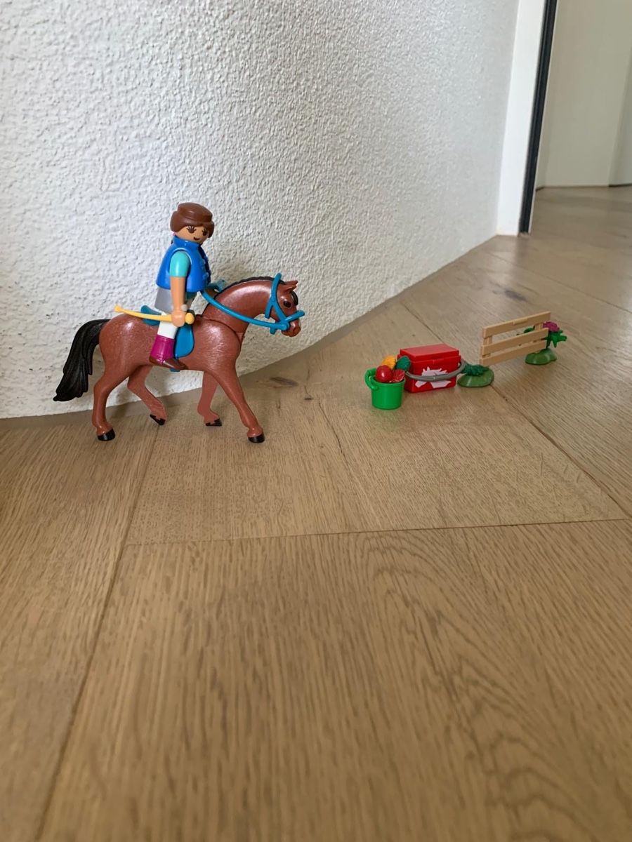 Playmobil Spielzeuge: Playmobil Reiter 70294 – Gebraucht aus Riedholz von Elch121 4