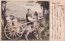 Luzern    LU    -    Milchfuhrwerk    um 1903
